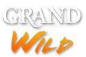 50 freespins no deposit for new players at GRANDWILD